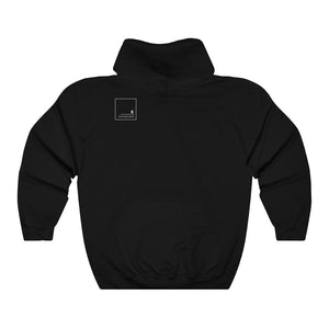 Validation is for parking, NOT HUMANS Hoodie